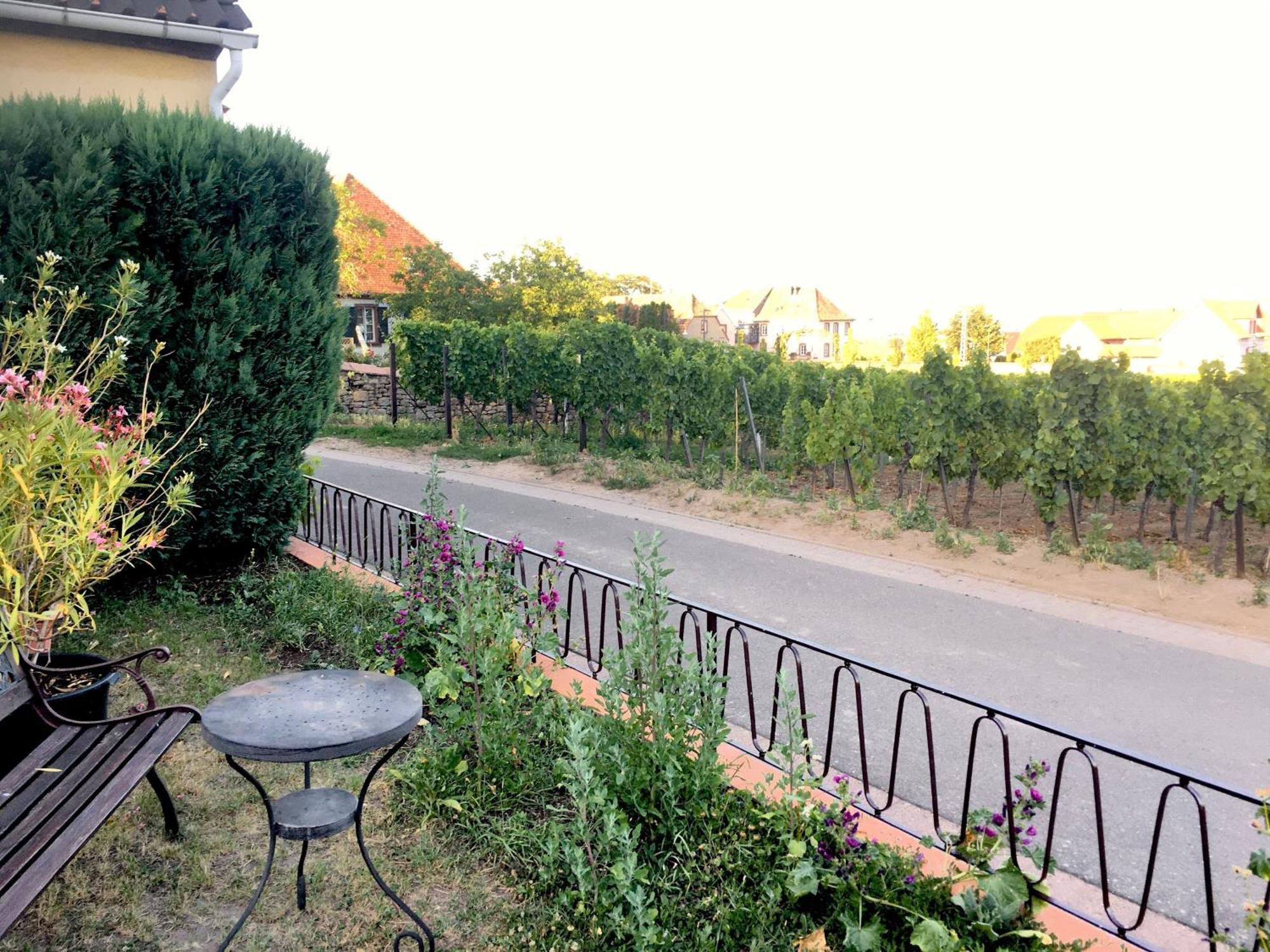 Ferienwohnung Suedpfalzblick Burrweiler Kültér fotó