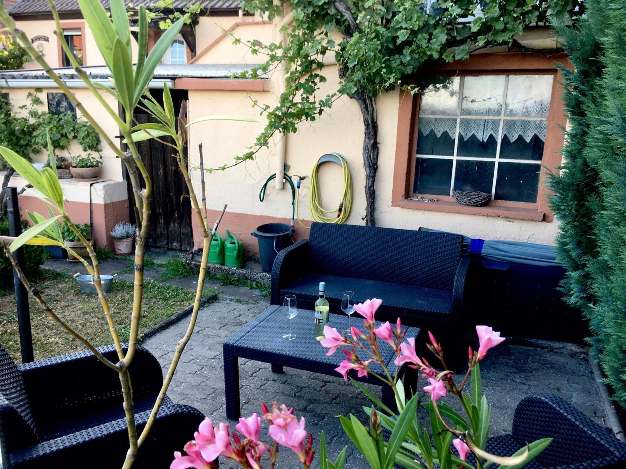 Ferienwohnung Suedpfalzblick Burrweiler Kültér fotó